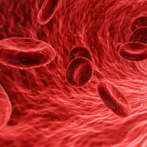 blood-1813410_1920 (1)