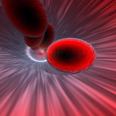 blood cells blood cells