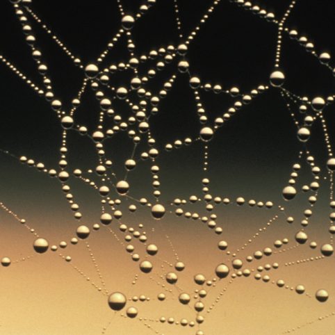 Photo of connected droplets