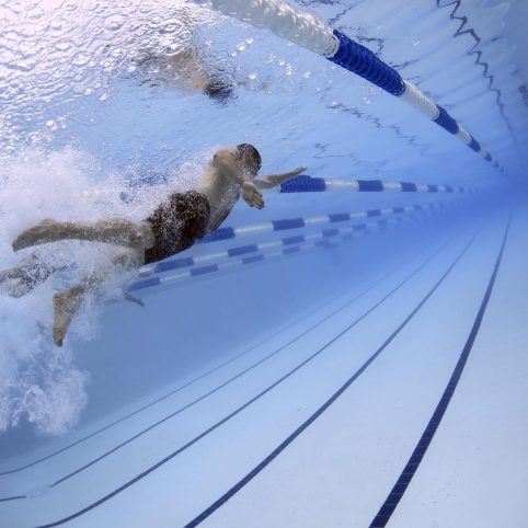 swimmers-79592